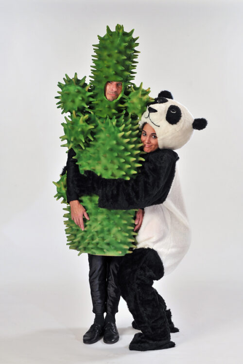 Panda - kaktus